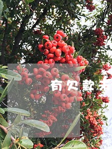 有欠款未逾期能贷款买房 有欠款未逾期能贷款买房