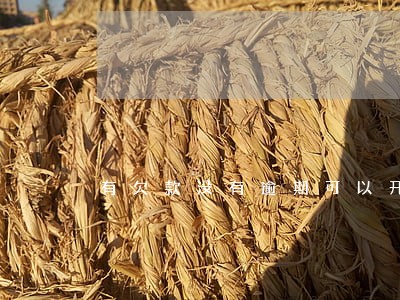 有欠款没有逾期可以开公司吗 有欠款没有逾期可以开公司吗
