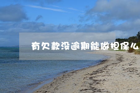 有欠款没逾期能做担保么 有欠款没逾期能做担保么