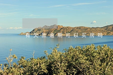 有欠款逾期可以买房吗 有欠款逾期可以买房吗