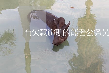 有欠款逾期的能考公务员吗