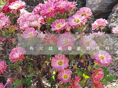 有欠款逾期能借钱吗 有欠款逾期能借钱吗