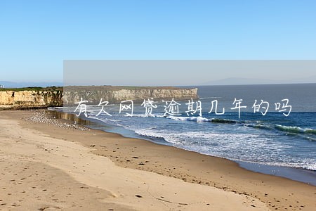 有欠网贷逾期几年的吗 有欠网贷逾期几年的吗