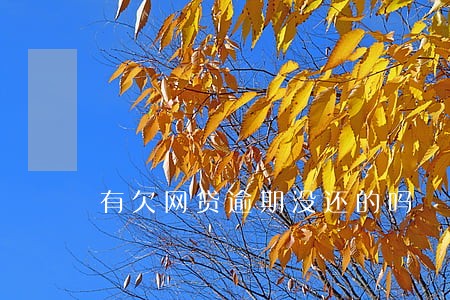 有欠网贷逾期没还的吗 有欠网贷逾期没还的吗