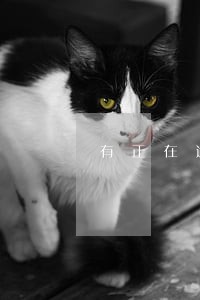 有正在逾期可以在什么平台借钱 有正在逾期可以在什么平台借钱