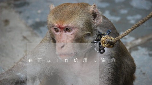有正式工作信用卡逾期 有正式工作信用卡逾期