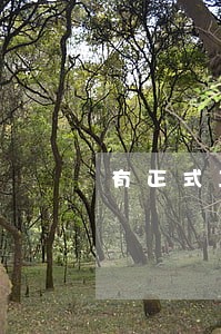 有正式工作如何挂律师证 有正式工作如何挂律师证