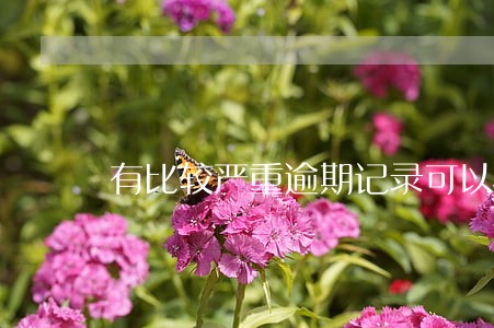 有比较严重逾期记录可以房抵贷吗 有比较严重逾期记录可以房抵贷吗