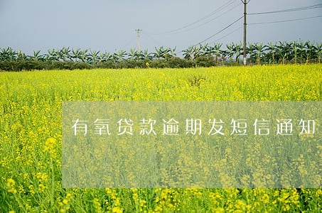 有氧贷款逾期发短信通知 有氧贷款逾期发短信通知