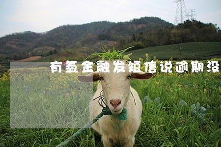 有氧金融发短信说逾期没借钱 有氧金融发短信说逾期没借钱