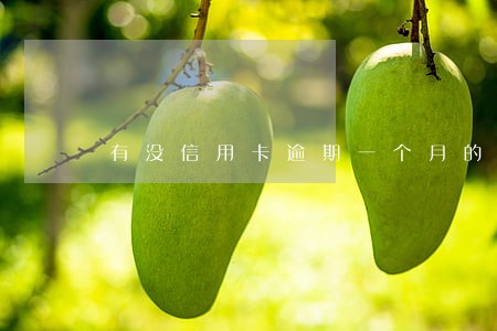 有没信用卡逾期一个月的 有没信用卡逾期一个月的