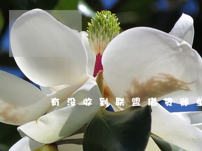 有没收到联盟借贷账单逾期 有没收到联盟借贷账单逾期