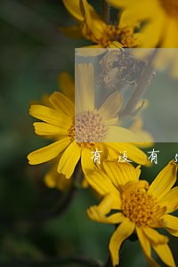有没有51闪电贷逾期的 有没有51闪电贷逾期的