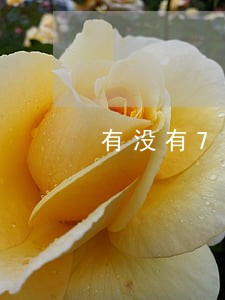 有没有714逾期一年的 有没有714逾期一年的