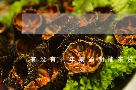 有没有一年前逾期能车贷的 有没有一年前逾期能车贷的