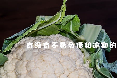 有没有不看负债和逾期的贷款 有没有不看负债和逾期的贷款