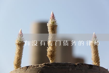 有没有专门债务的律师 有没有专门债务的律师
