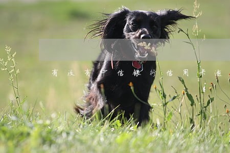 有没有中信银行信用卡逾期的人 有没有中信银行信用卡逾期的人