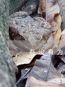 有没有为信用卡逾期而烦恼的 有没有为信用卡逾期而烦恼的