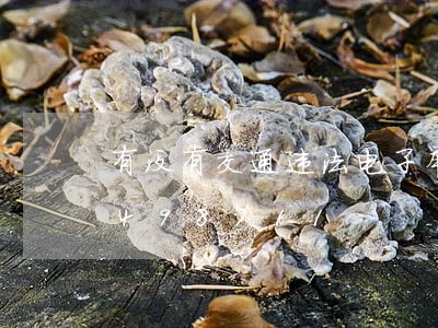 有没有交通违法电子举报/2023020498711 有没有交通违法电子举报/2023020498711