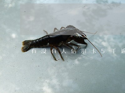 有没有人信用卡5千逾期的 有没有人信用卡5千逾期的