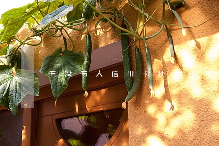 有没有人信用卡还不出来逾期的