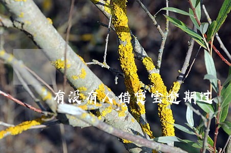 有没有人借贷宝逾期过 有没有人借贷宝逾期过
