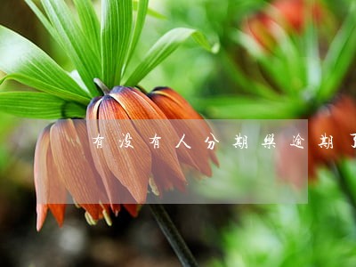 有没有人分期乐逾期了