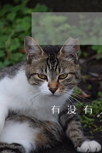 有没有人在甜兔平台逾期过 有没有人在甜兔平台逾期过