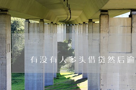 有没有人多头借贷然后逾期了的