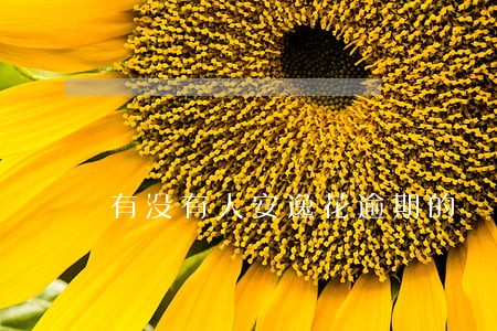 有没有人安逸花逾期的 有没有人安逸花逾期的