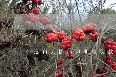 有没有人捷信逾期能贷款买房的 有没有人捷信逾期能贷款买房的