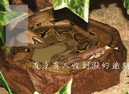 有没有人收到假的逾期短信 有没有人收到假的逾期短信