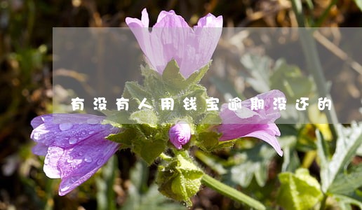 有没有人用钱宝逾期没还的 有没有人用钱宝逾期没还的