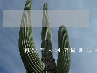 有没有人网贷逾期怎么办