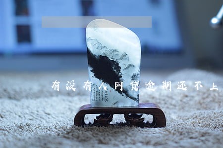 有没有人网贷逾期还不上的 有没有人网贷逾期还不上的
