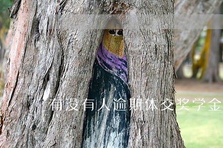 有没有人逾期体交奖学金申请书 有没有人逾期体交奖学金申请书