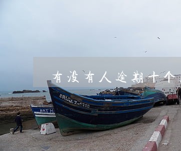 有没有人逾期十个正规大平台 有没有人逾期十个正规大平台
