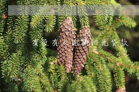 有没有人逾期阳光贷款 有没有人逾期阳光贷款