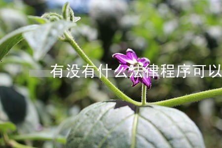 有没有什么法律程序可以走 有没有什么法律程序可以走