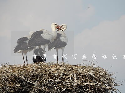 有没有代写离婚协议书的 有没有代写离婚协议书的