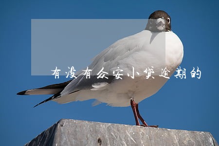 有没有众安小贷逾期的 有没有众安小贷逾期的