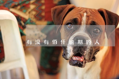 有没有佰仟逾期的人 有没有佰仟逾期的人
