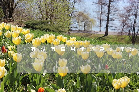 有没有信用卡逾期3年没还的 有没有信用卡逾期3年没还的