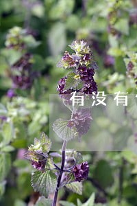 有没有信用卡逾期3年的 有没有信用卡逾期3年的