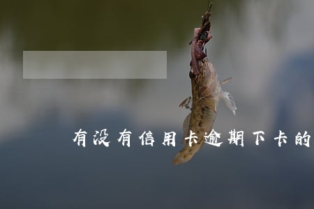 有没有信用卡逾期下卡的 有没有信用卡逾期下卡的
