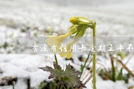 有没有信用卡逾期五年不还的