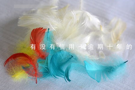 有没有信用卡逾期十年的 有没有信用卡逾期十年的