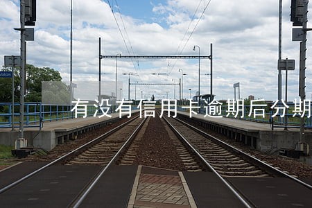 有没有信用卡逾期后分期还完 有没有信用卡逾期后分期还完