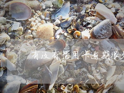 有没有信用卡逾期很久的